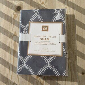POTTERY BARN Teen Gray Gemstone Trellis Sham NEW NIP